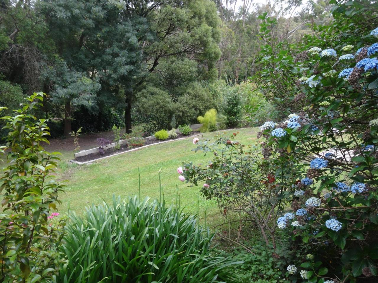 Yarra Ranges Country Apartment Mount Evelyn ภายนอก รูปภาพ